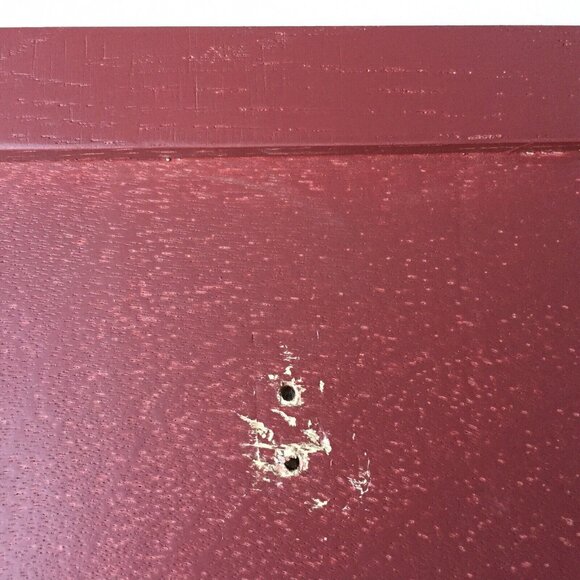 Lime Fruit Art Decorative Hot Plate Trivet Pot Holder Wooden Wall Hanging Decor - Picture 8 of 10